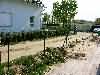 2006-05-04-03-zaun