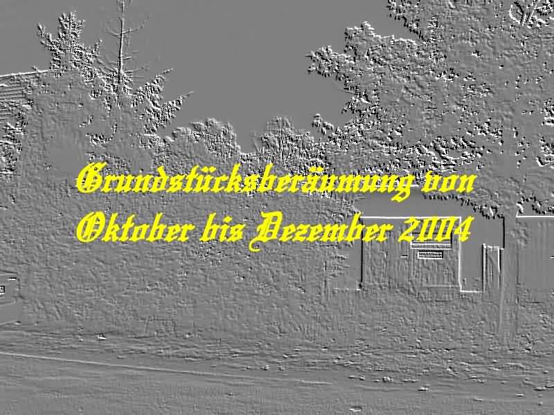 Grundst&uuml;ckber&auml;umung - 2004