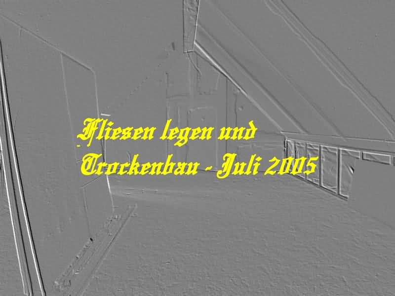 Fliesen legen und Trockenbau - Juli 2005